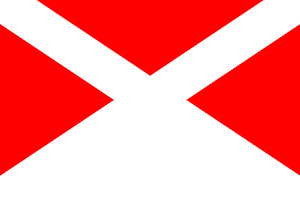 NTSARFLAG.png