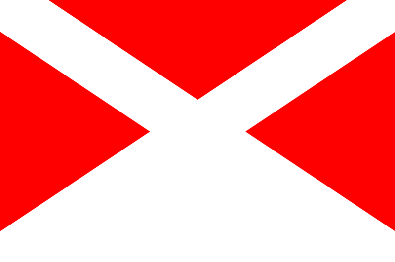 檔案:NTSARFLAG.png