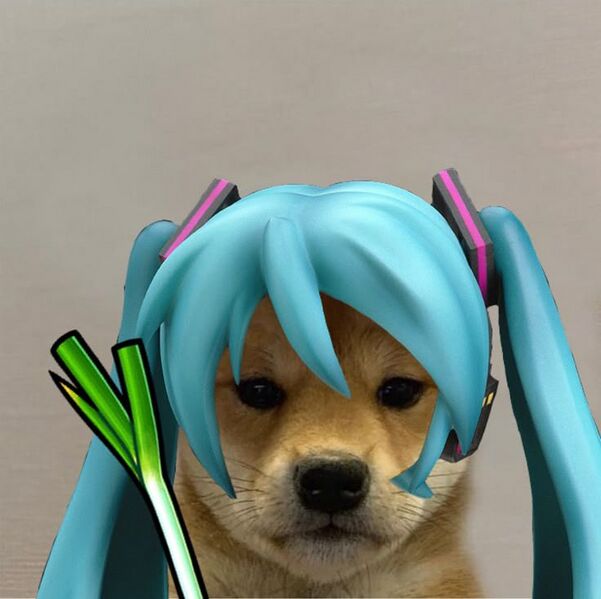 檔案:Miku dog.jpg